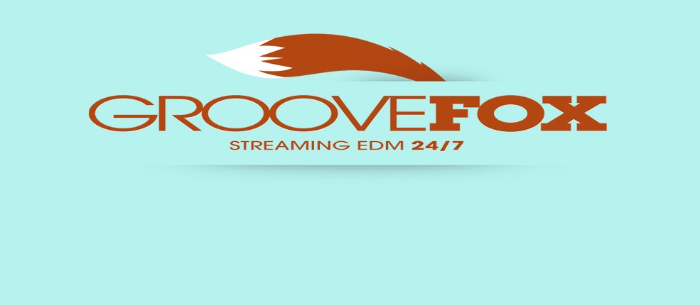 New EDM Experience Is Here - GrooveFox Phone App 2