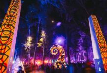 Synchronicity in the Forest: THE HULA TIMES 2025 IMG