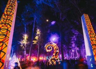 Synchronicity in the Forest: THE HULA TIMES 2025 IMG